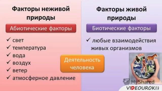 Биология. Мугалим Абдазимова Зумрад. смотреть онлайн