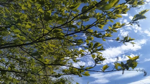 6 мая.ДЕНЬ ЮРИЯ.Что нельзя и что можно делать.  Народные приметы