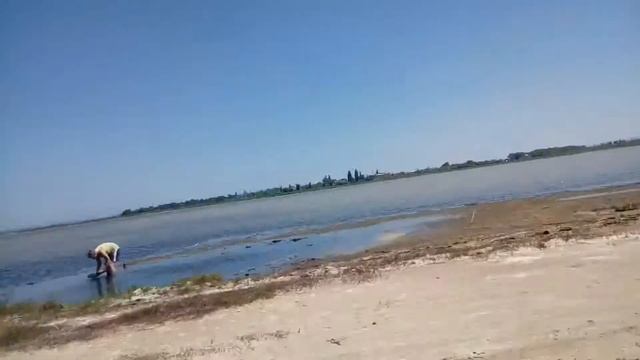 Добываю морского червя смотреть онлайн