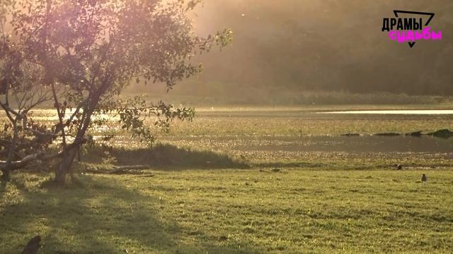 Жена описала свою измену в деталях. Любовник держал в руке... | Удивительные истории - Драмы Судьбы смотреть онлайн