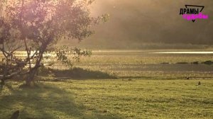 Жена описала свою измену в деталях. Любовник держал в руке... | Удивительные истории - Драмы Судьбы