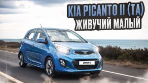 Маленькие машины и надежность. Стоит ли брать Киа Пиканто? | Всесторонний обзор