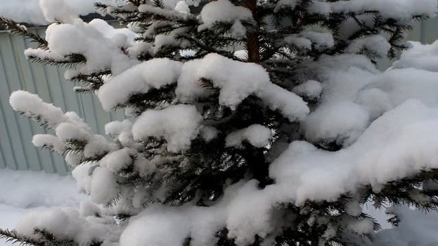 ОЛАДЬИ С ЯБЛОКАМИ. ЗИМА. смотреть онлайн