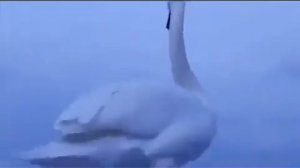 Клип с Павлом Делонгом № 5 Pawel Delag | Павел Делонг