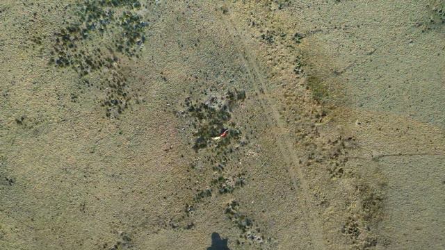 Кош-Агач -Актру 2022 год смотреть онлайн