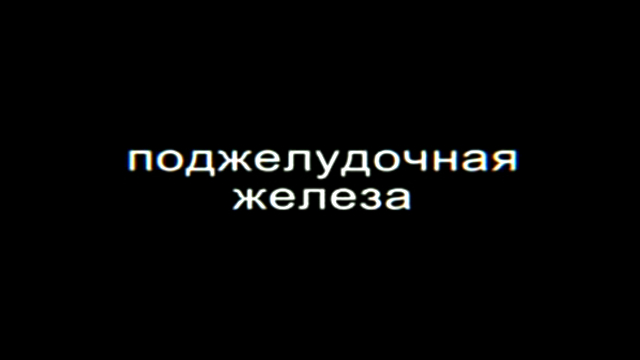 Поджелудочная железа