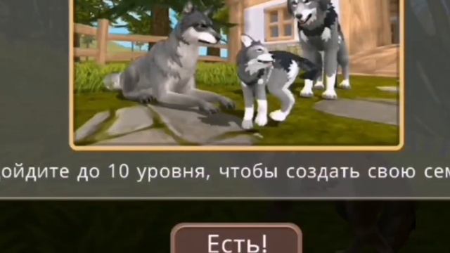 Играю WildCraft (надеюсь это будет интереснее😁) #вайлдкрафт #wildcraft #ИграемсЛианой смотреть онлайн
