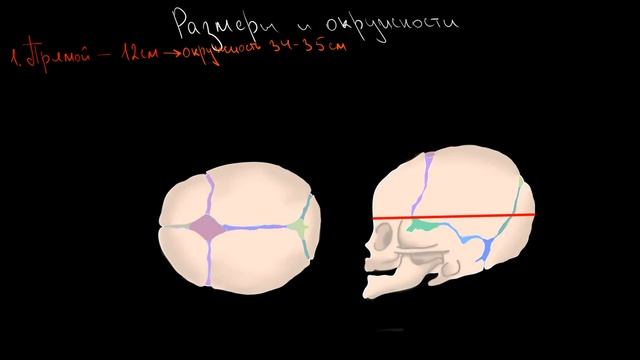 Плод как объект родов. Роднички, швы, размеры, окружности головки плода смотреть онлайн