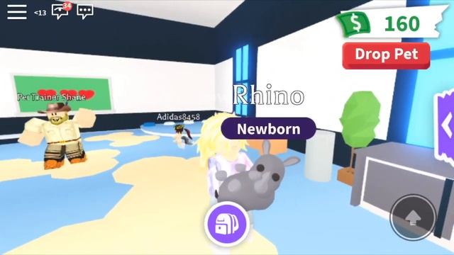 Конкурс на королевское яйцо в Adopt Me/Roblox смотреть онлайн