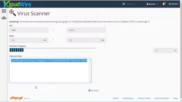Using the Virus Scan Feature in cPanel смотреть онлайн
