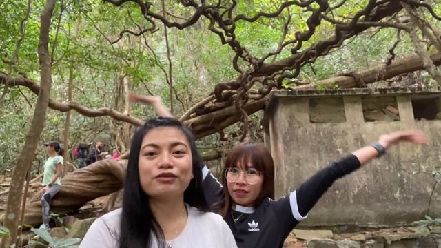 Pak Kong and Mui Tsz Lam Ancient Trail (via Mau Ping) Full Guide | Bamboo Tunnels and Vine King смотреть онлайн
