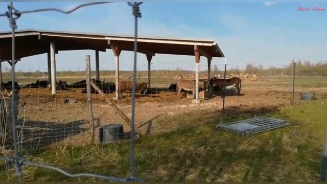 МЕГА РАСПАКОВКА посылок с AliExpress. 4 АЛМАЗНЫЕ МОЗАИКИ. Прогулка вокруг озера. Diamond painting смотреть онлайн