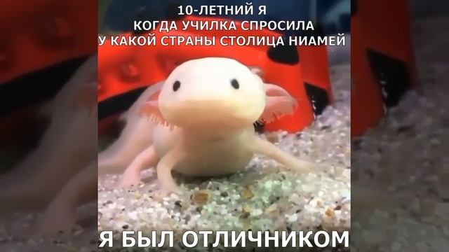 страна со столицей Ниамей смотреть онлайн