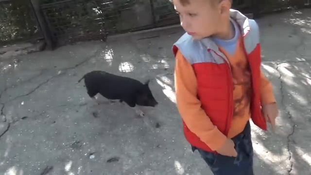 Зоопарк "СКАЗКА" в Ялте и Аквариум в Алуште. Сентябрь 2017 года смотреть онлайн