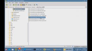 Установка КриптоПРО ЭЦП Browser plug-in в Linux (Astra Linux Орел)