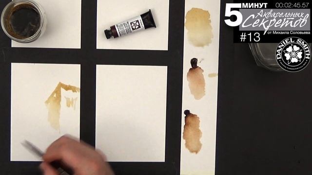 Акварельные Секреты №13: Каракатицы и кофе смотреть онлайн