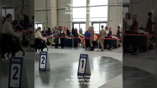 "Sabaneevka - 2023" / 28.01.2023, Kazan Expo смотреть онлайн