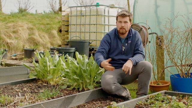 Самый Простой Способ Компостирования Для Небольших Помещений! смотреть онлайн