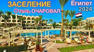 Заселение в новый отель Jaz Makadi Star x Spa 5*. Безветренная бухта Макади Бей Хургада Египет 2024