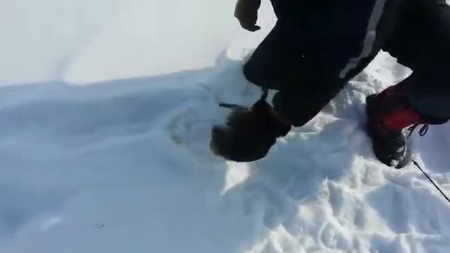 Рыбалка в городе Тулуне. смотреть онлайн