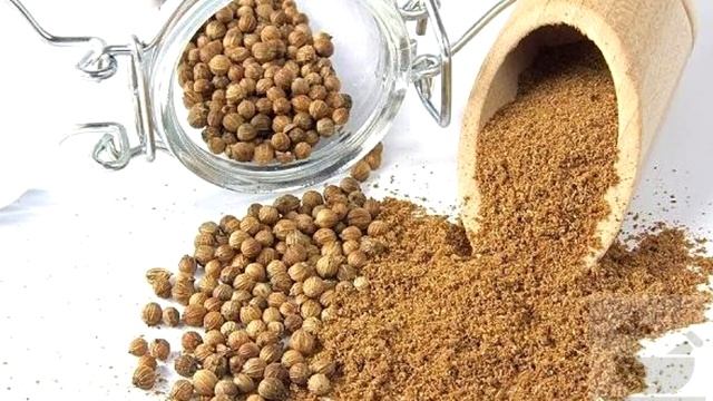 Лечебные свойства Кориандра кинзы смотреть онлайн