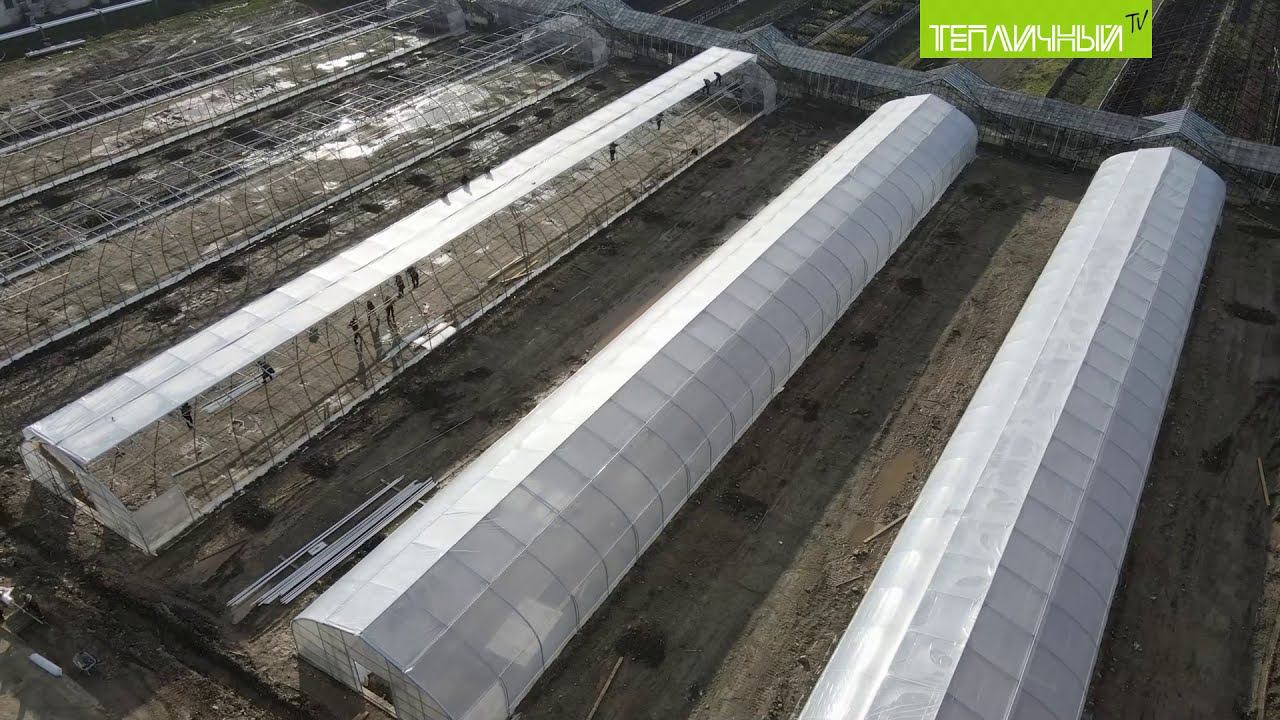 Пять новых теплиц возвели в «Тепличном» смотреть онлайн