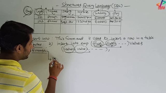 SQL Commands | Insert Command | Update Command | In Hindi смотреть онлайн