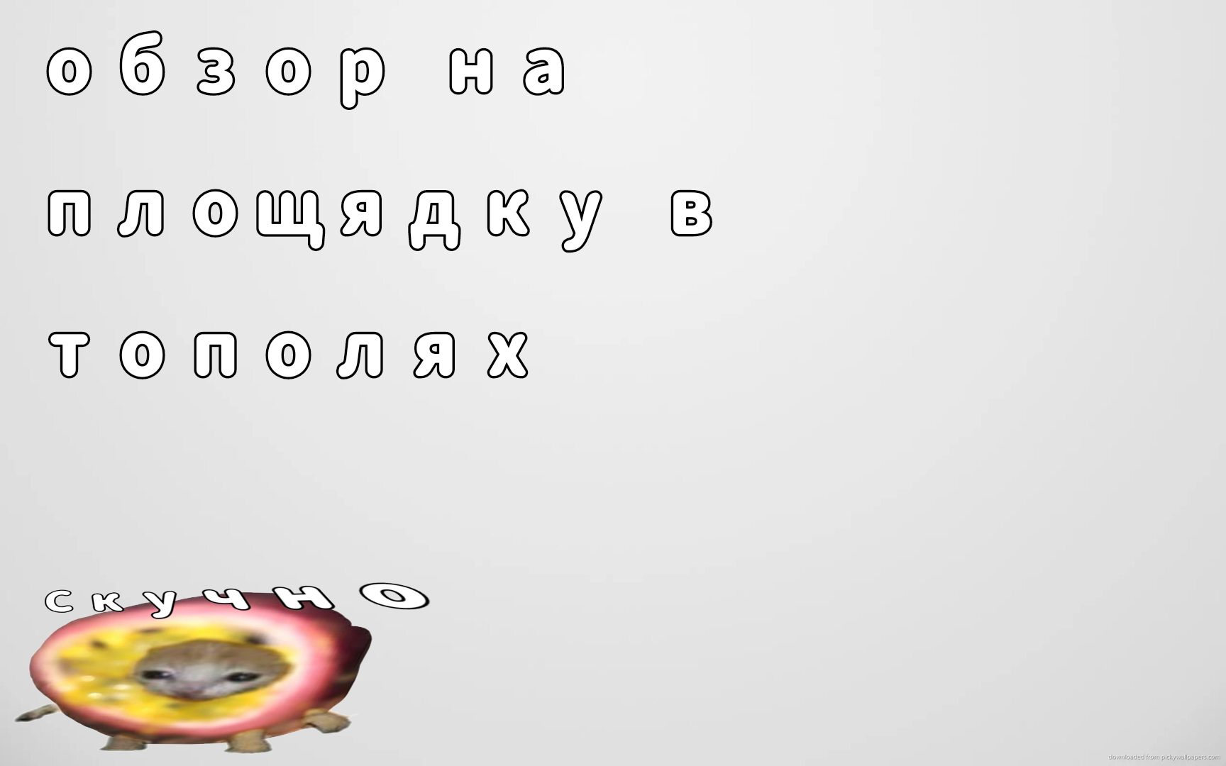 Площядка рядом тополями // обзор