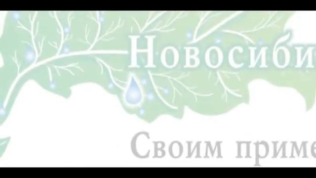 Микориза-Новосибирск смотреть онлайн