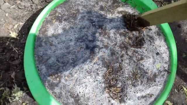 ГОТОВЛЮ НАТУРАЛЬНОЕ ОРГАНИЧЕСКОЕ УДОБРЕНИЕ ДЛЯ РОЗ И КЛЕМАТИСОВ. смотреть онлайн