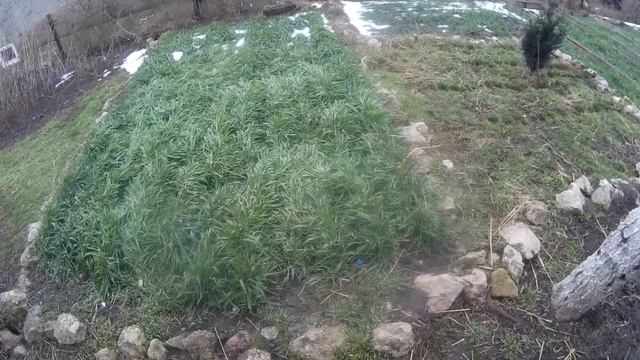Обзор огорода возле дома после зимы смотреть онлайн