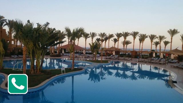 Туристы в Египте. Что происходит сегодня смотреть онлайн