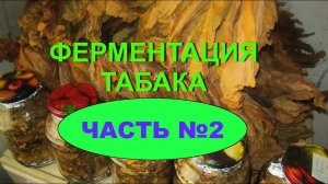 ФЕРМЕНТАЦИЯ ТАБАКА  ЧАСТЬ № 2