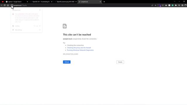 How to create a self-signed SSL(HTTPS) for NGINX in Docker - چگونه یک سرتیفیکیت SSL بسازیم смотреть онлайн
