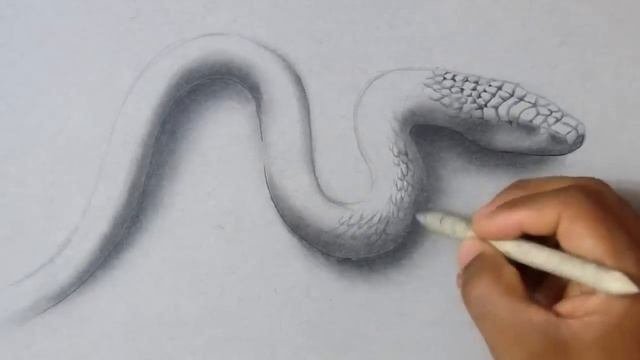 How to Draw a Realistic 3D Snake - 3D Art Kids and Adults смотреть онлайн