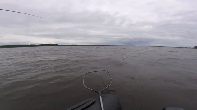 В погоне за щукой (летняя рыбалка с друзьями) смотреть онлайн