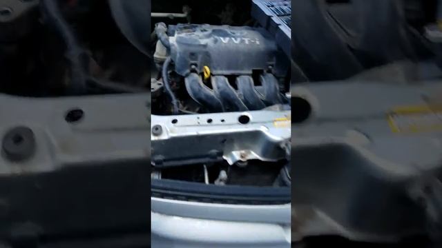 2015 Toyota Echo water pump replacement смотреть онлайн