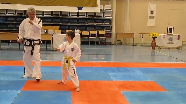 Taekwon-Do ITF Do-San. До-Сан туль таэквон-до ИТФ Пак Пон Док смотреть онлайн