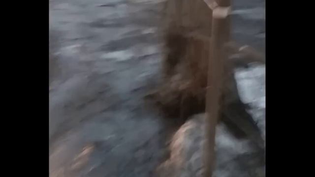 Героический проход пешком зимой по Сельскохозяйственной улице смотреть онлайн