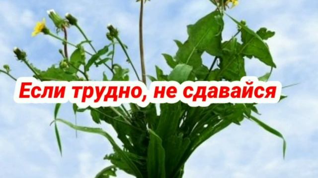 Зажигательная открытка и красивейшее поздравление с Днём Рождения! смотреть онлайн