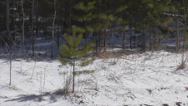 Лечение сердца 2 часть Настрой смотреть онлайн