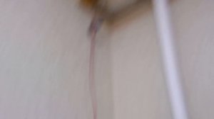 Как закрепить вибродинамик если натяжные потолки?