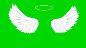 ФУТАЖ КРЫЛЬЕВ АНГЕЛА ? ???