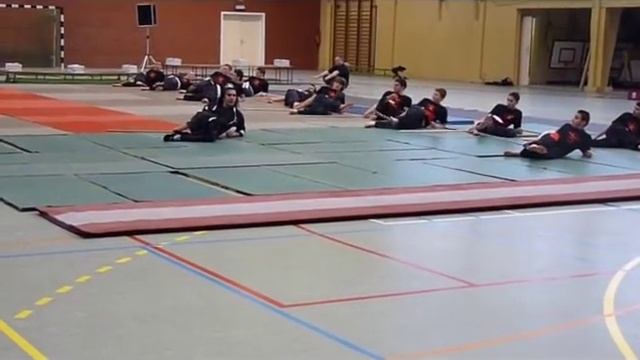 kungfu Toa Belgie Maasmechelen Ali Cetin Demonstratie 2010. смотреть онлайн