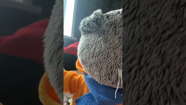 КОТ БАСИК ТАЙНА ЯЙЦА ИЛИ ДОБРОЕ УТРО смотреть онлайн