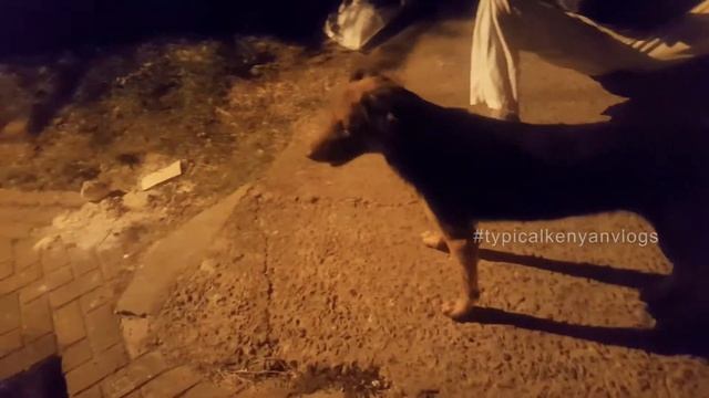Past CURFEW games with my dogs | Typical Kenyan 2020 Vlogs смотреть онлайн