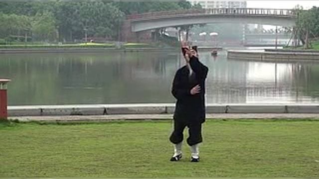 Даосский тайцзицюань 8 методов Лун Мэнь, взращивающих жизненность