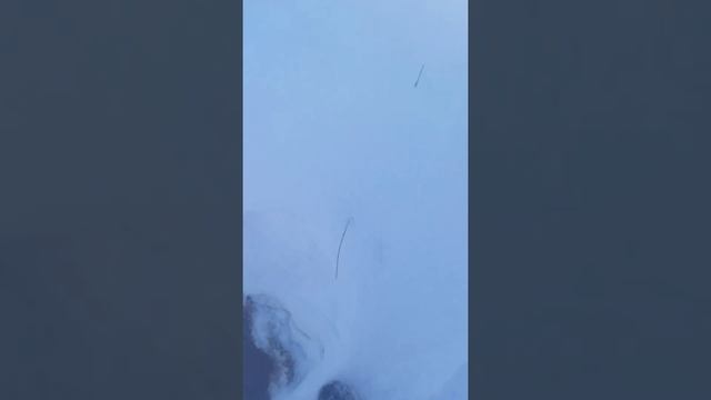 как норка зимой проникает в замёрзший пруд и получает доступ к рыбе смотреть онлайн