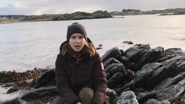 Рукопожатие или кекс на одну ночь? Логические кренделя из Норвегии. смотреть онлайн