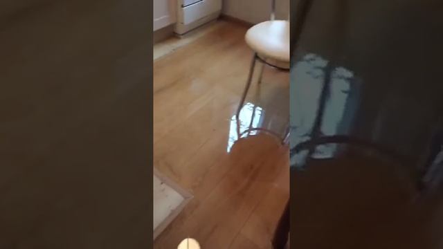 9 мая 2017 год. Всемирный потоп! Часть 1 смотреть онлайн